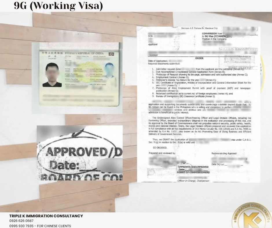Approved 9G working visa document